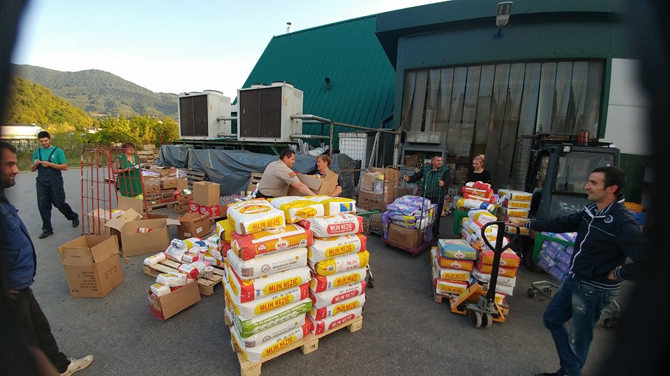 22184770 1636656693071657 1081936352 n