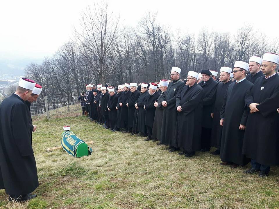 27749834 293349371191617 7963169897425897237 n