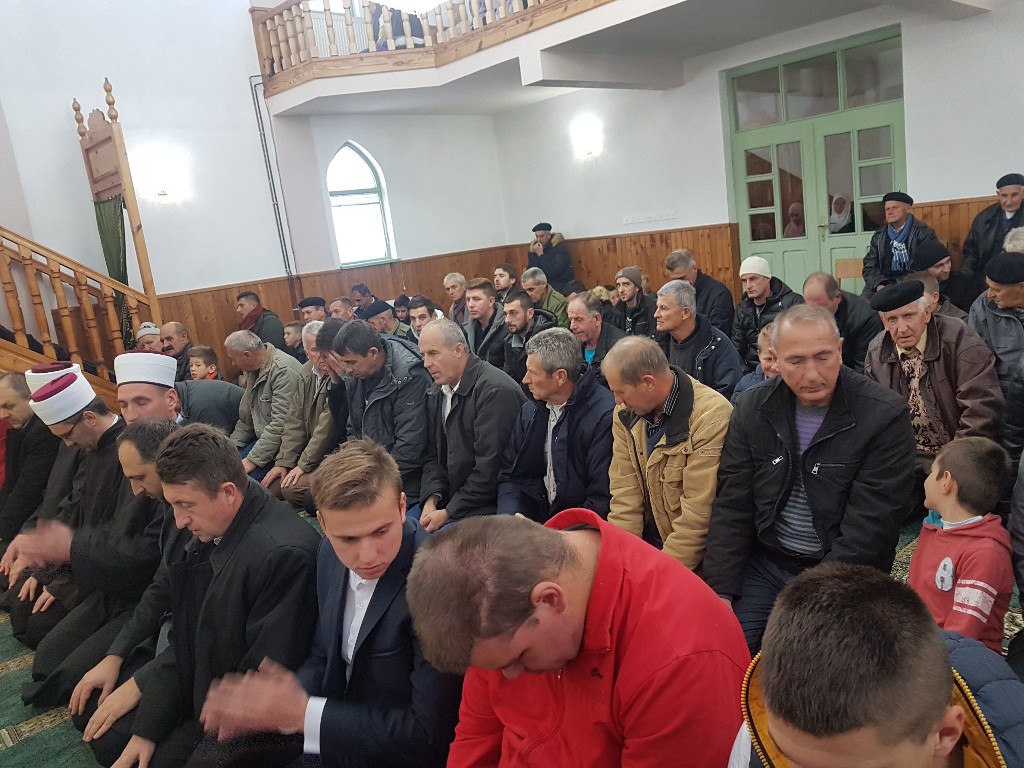 p1c0tmp7n8138cvdi14781mrs1i131a